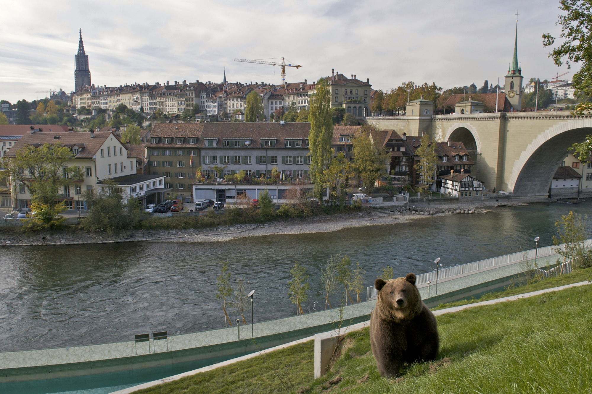 Bern