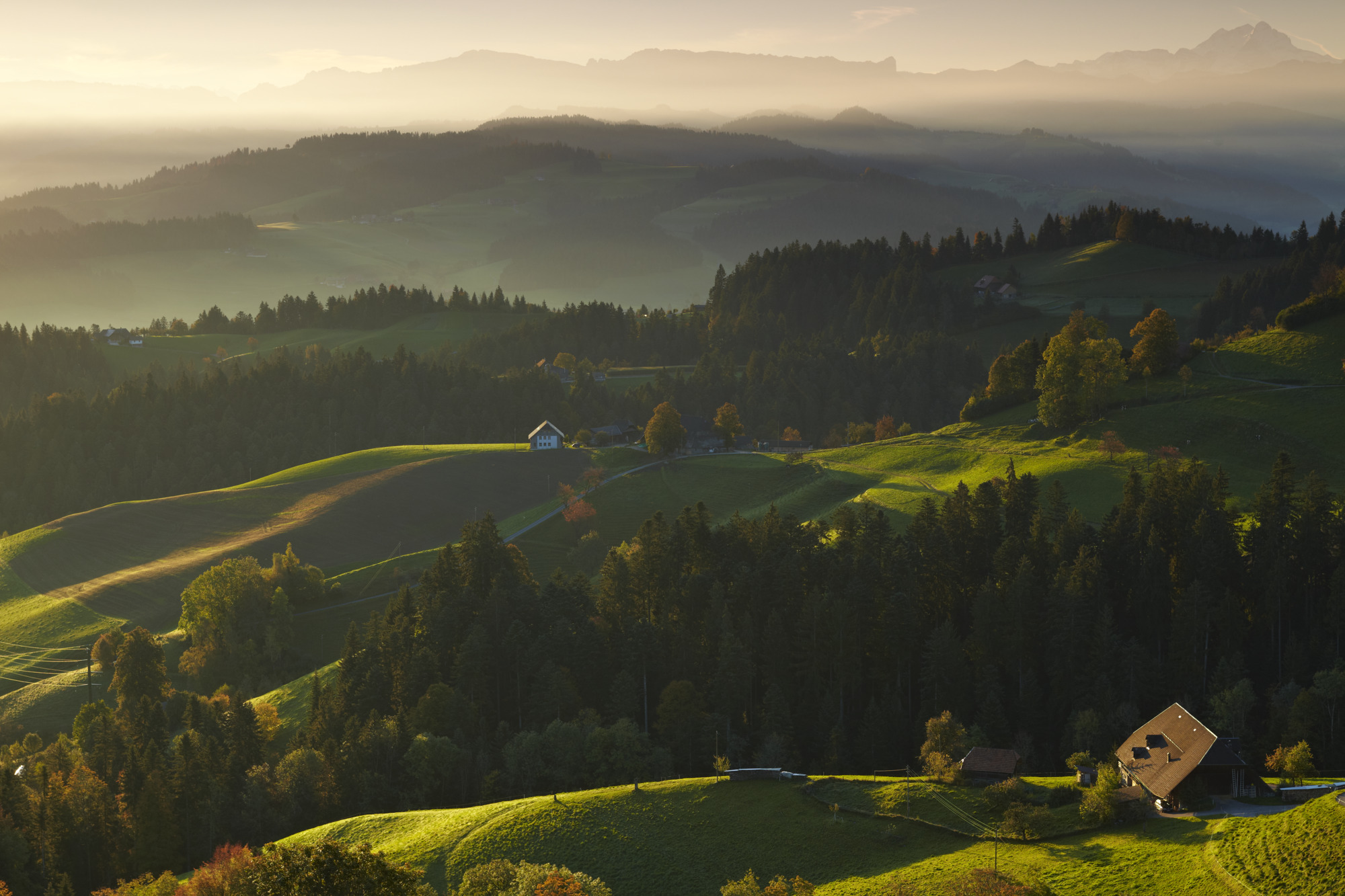 Bern
