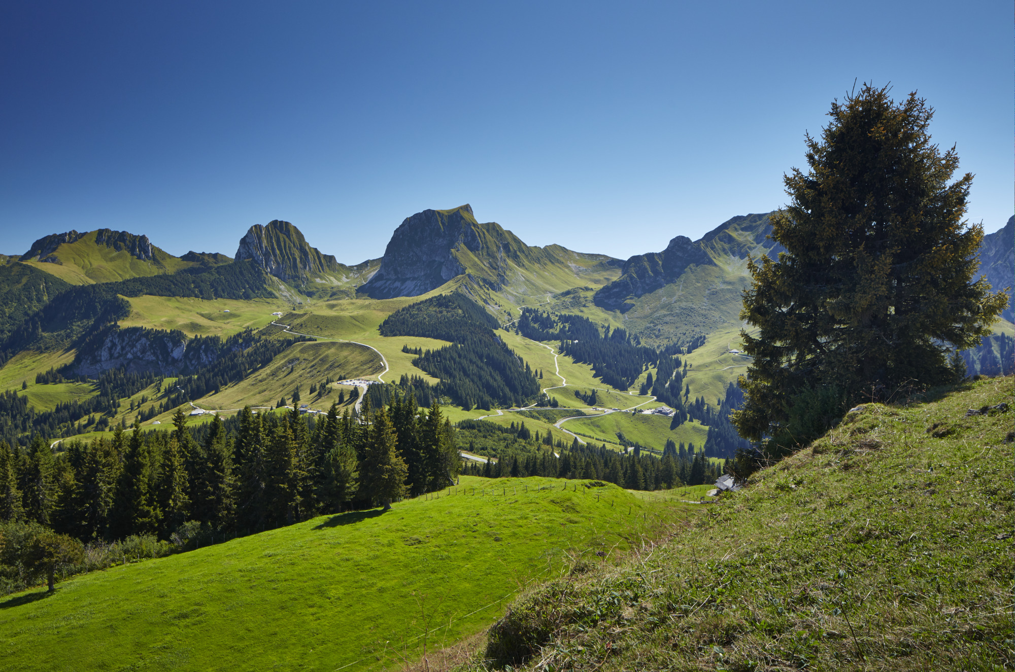 Bern