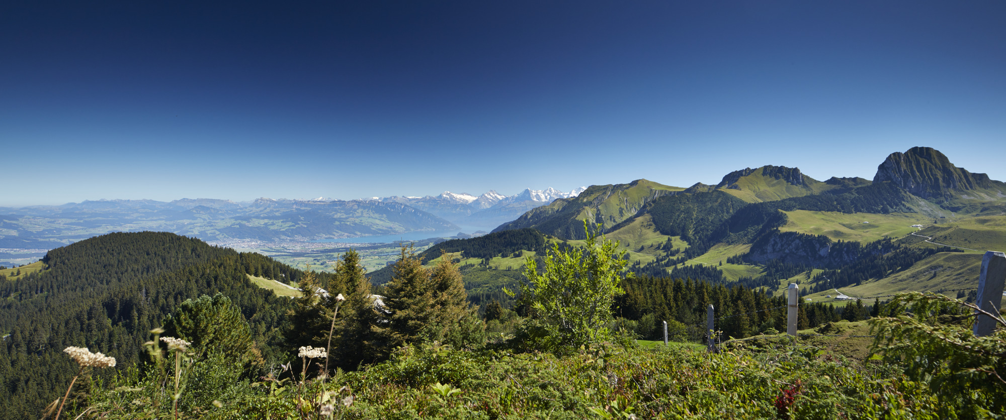 Bern