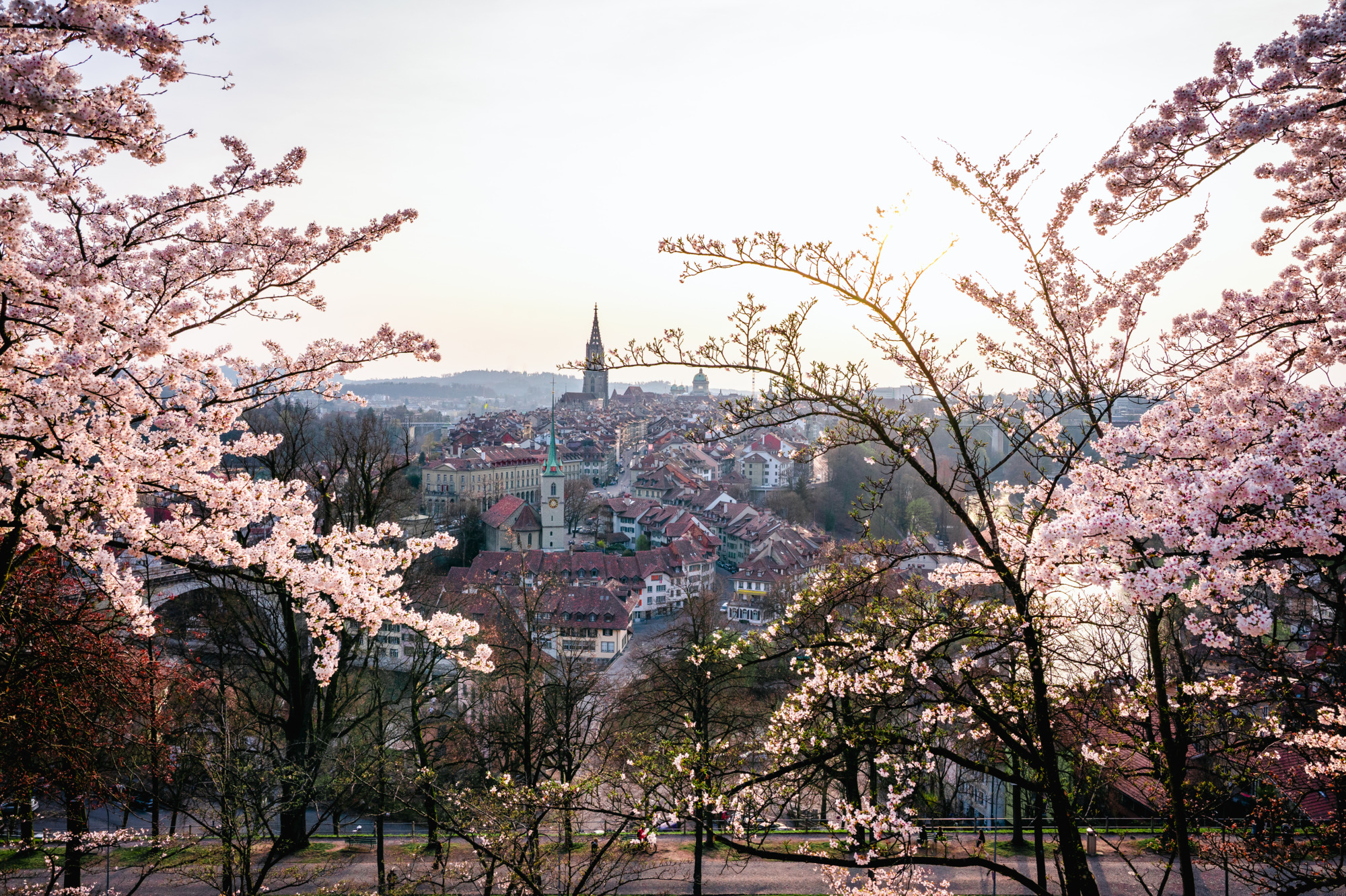 Bern