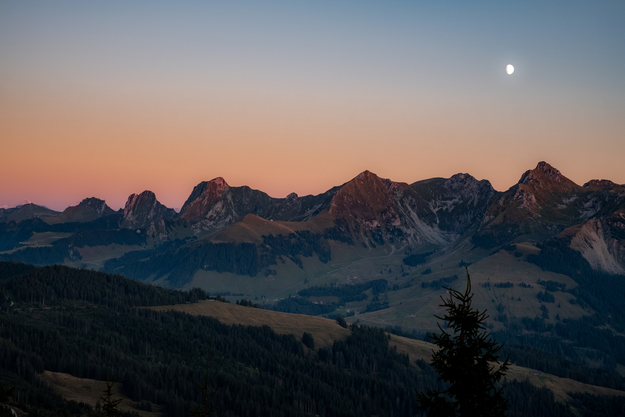 Bern